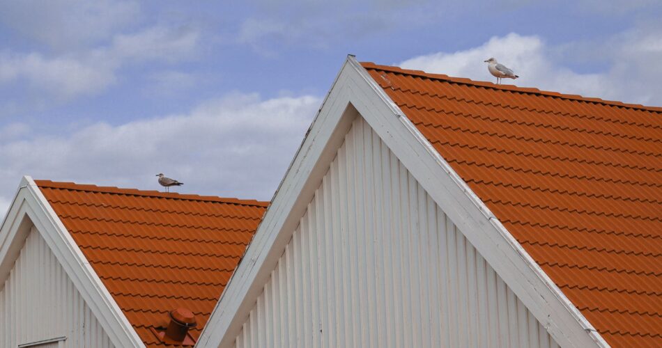 nyt tag Roskilde